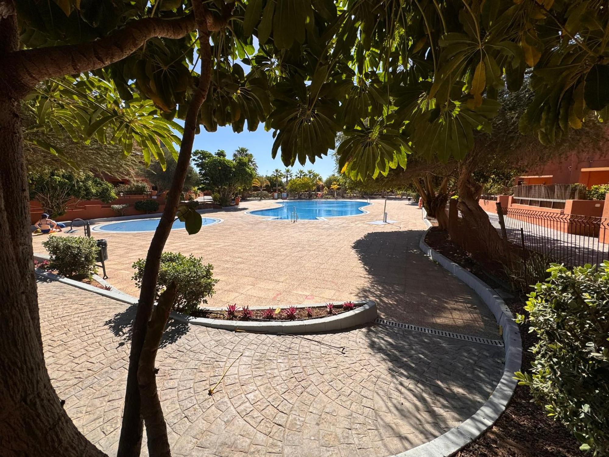 Apartament Alquilaencanarias Sotavento Paradise Granadilla De Abona Zewnętrze zdjęcie